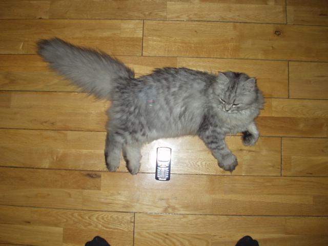 P1010001.JPG.jpg