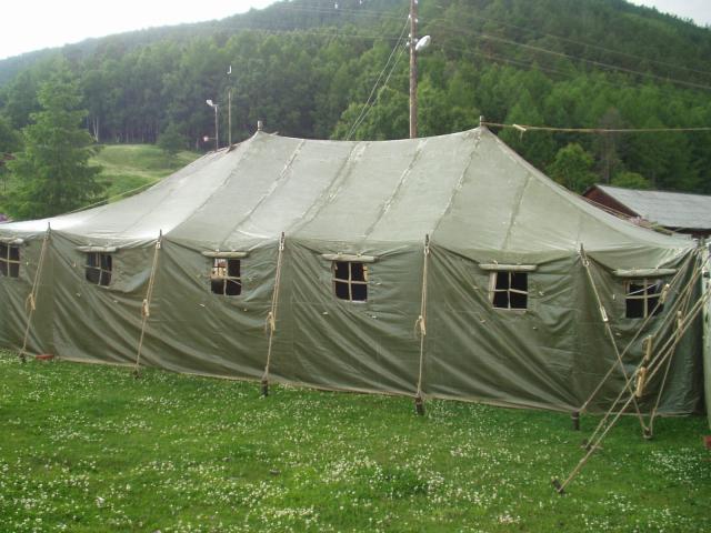 P1010023.JPG.jpg