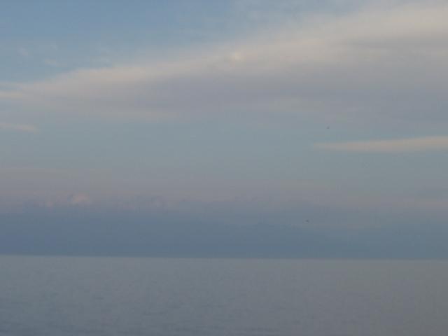 P1010033.JPG.jpg