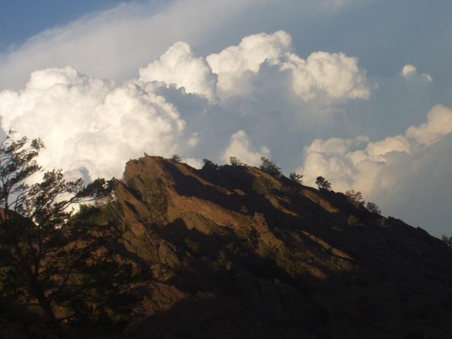 P1010036.JPG.jpg