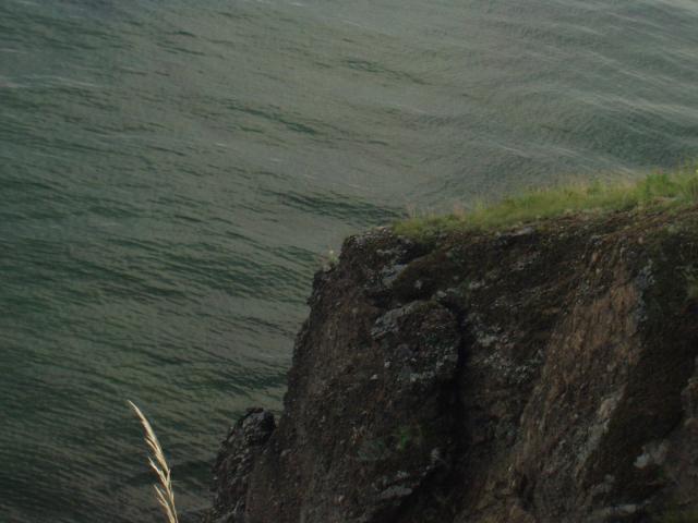 P1010037.JPG.jpg