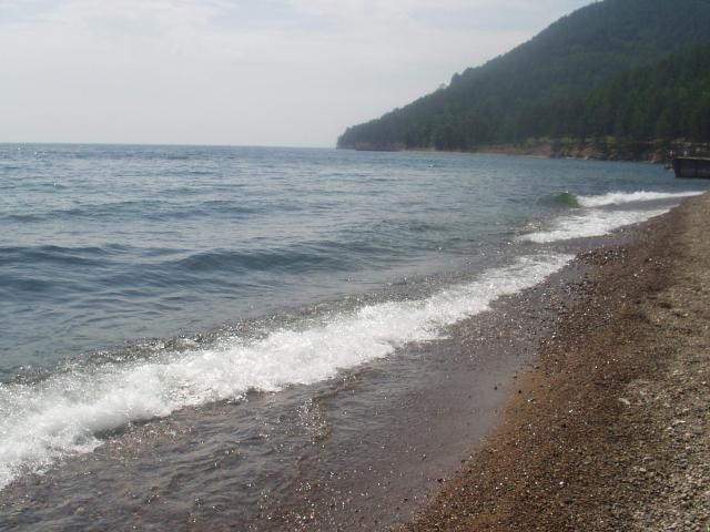 P1010126.JPG.jpg