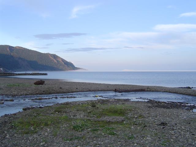 DSC03373.jpg.jpg