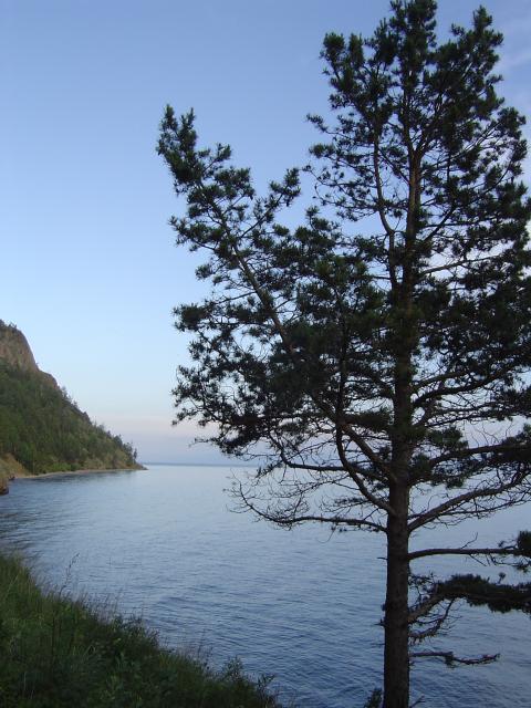 DSC03378.jpg.jpg