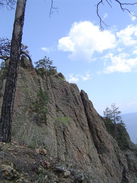 DSC03410.jpg.jpg