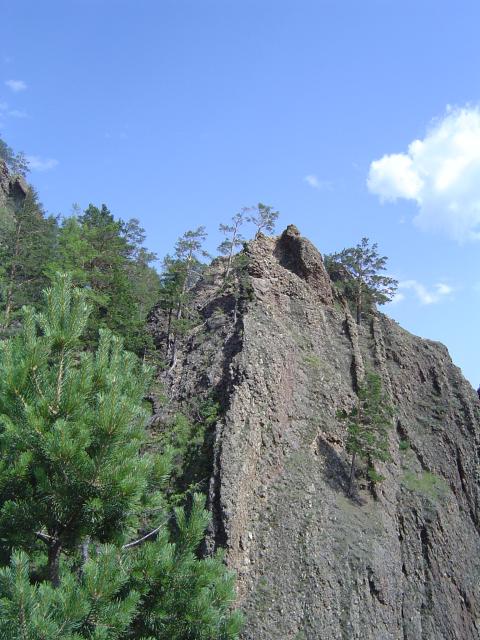DSC03411.jpg.jpg