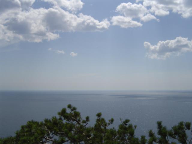 DSC03419.jpg.jpg