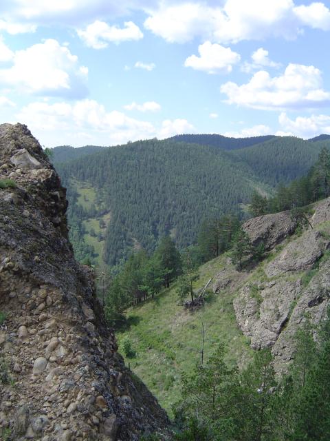DSC03422.jpg.jpg