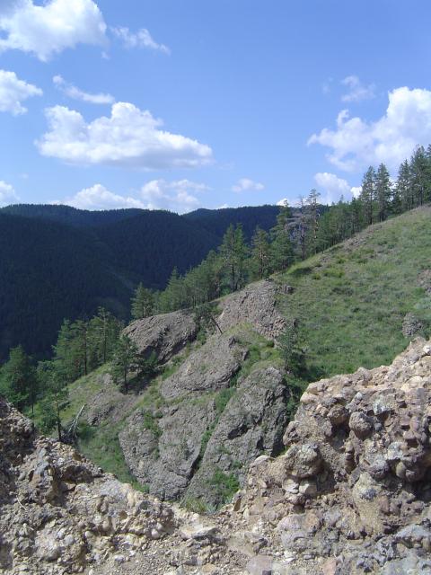 DSC03423.jpg.jpg