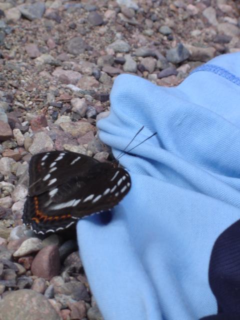 DSC03437.jpg.jpg