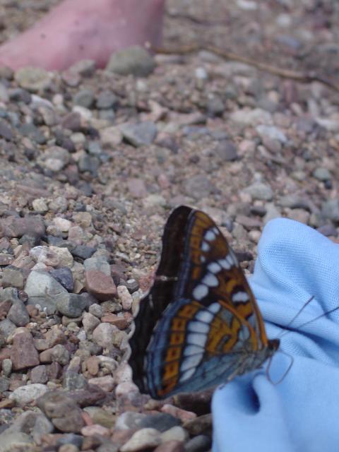DSC03438.jpg.jpg