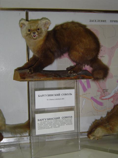DSC03462.jpg.jpg