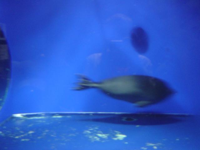 DSC03470.jpg.jpg