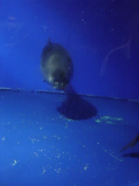DSC03473.jpg.jpg