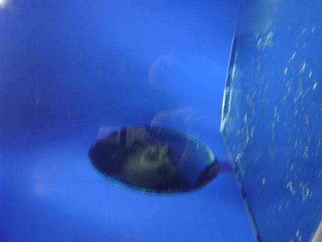 DSC03475.jpg.jpg
