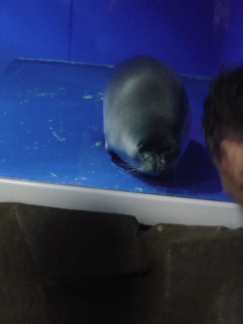 DSC03477.jpg.jpg
