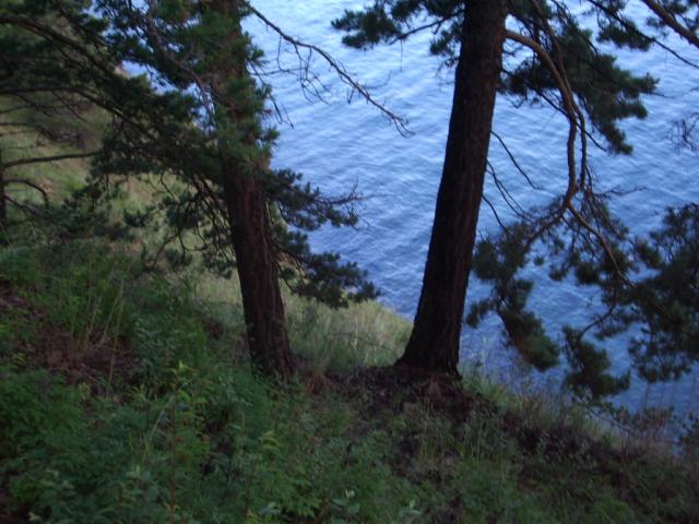 IMGP0170.JPG.jpg