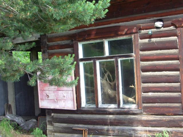 IMGP0195.JPG.jpg