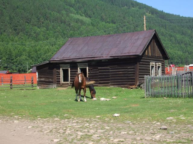 IMGP0222.JPG.jpg