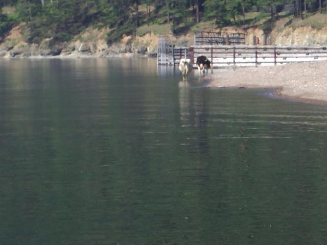 IMGP0263.JPG.jpg