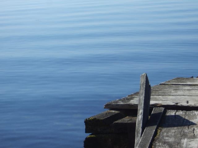 IMGP0264.JPG.jpg