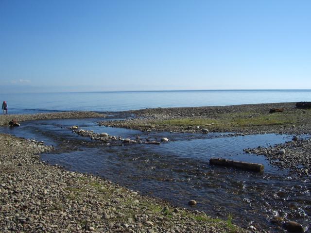 IMGP0268.JPG.jpg