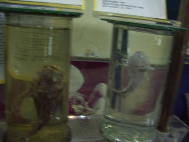 IMGP0289.JPG.jpg
