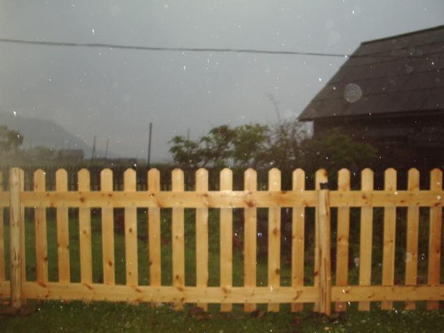 IMGP0328.JPG.jpg