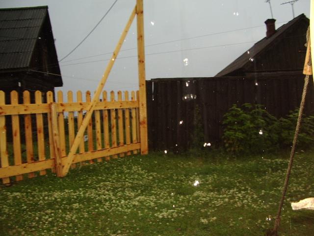 IMGP0331.JPG.jpg