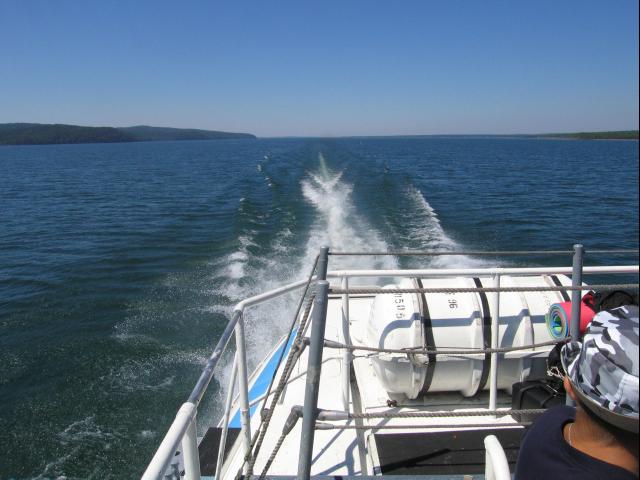 IMG_2800.JPG.jpg