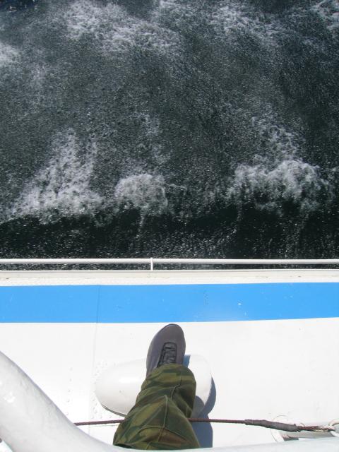 IMG_2801.JPG.jpg