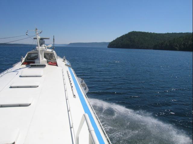 IMG_2803.JPG.jpg