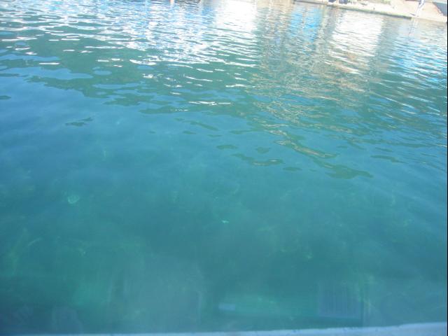 IMG_2811.JPG.jpg