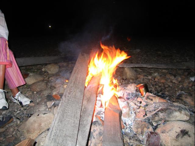 IMG_2879.JPG.jpg