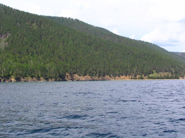 IMG_1794.jpg.jpg