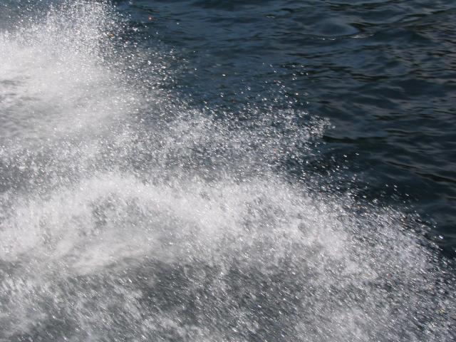 IMG_1797.jpg.jpg