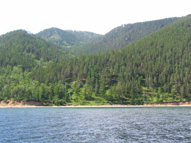 IMG_1798.jpg.jpg