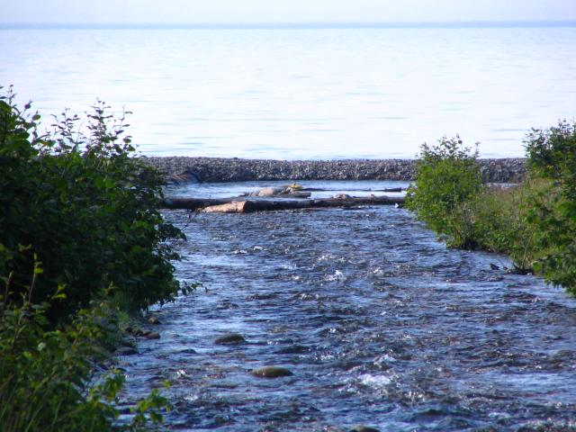 IMG_1915.jpg.jpg