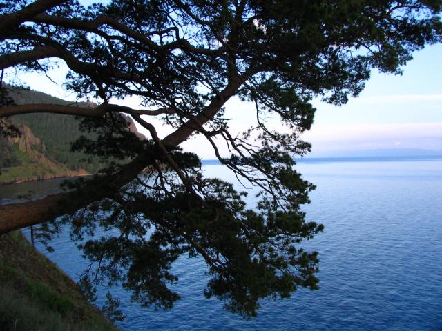 IMG_1979.jpg.jpg