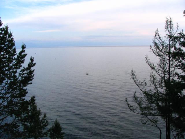 IMG_1994.jpg.jpg