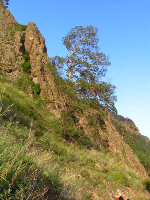 IMG_1996.jpg.jpg