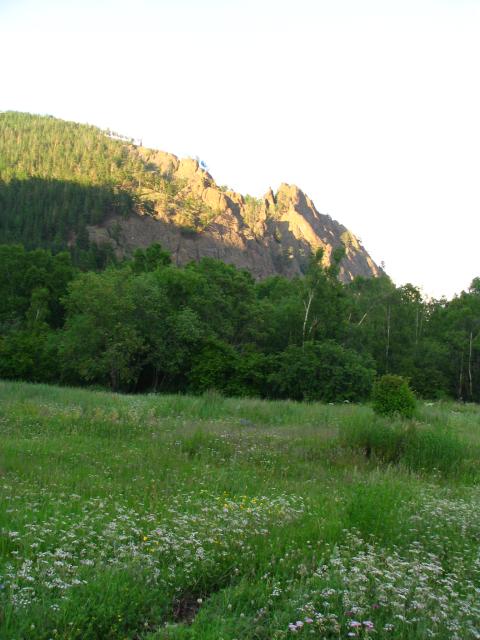 IMG_2003.jpg.jpg