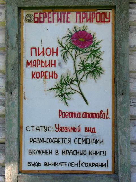 IMG_2171.jpg.jpg
