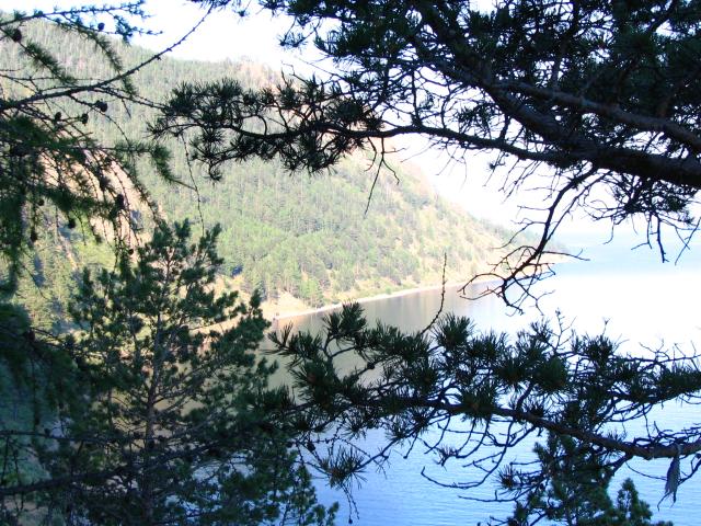 IMG_2215.jpg.jpg