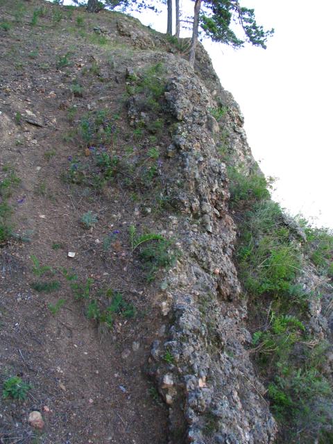 IMG_2228.jpg.jpg
