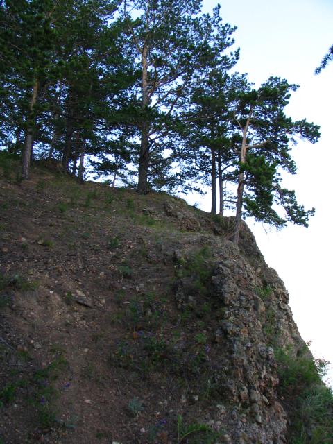 IMG_2229.jpg.jpg