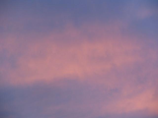 IMG_2521.jpg.jpg