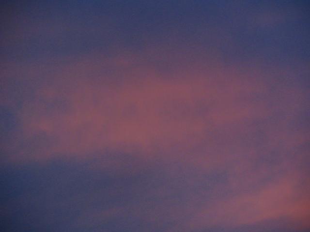 IMG_2524.jpg.jpg