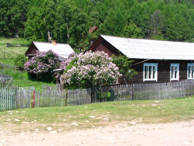 IMG_2555.jpg.jpg