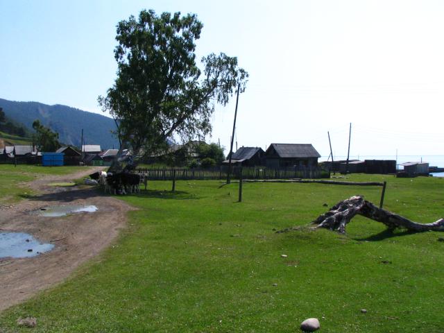 IMG_2557.jpg.jpg